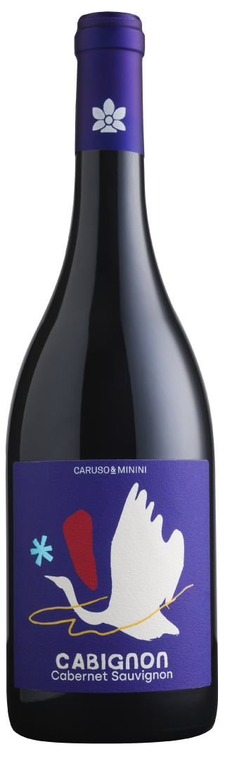 NASZ ELEGANCKI: Cusora Cabernet Sauvignon 